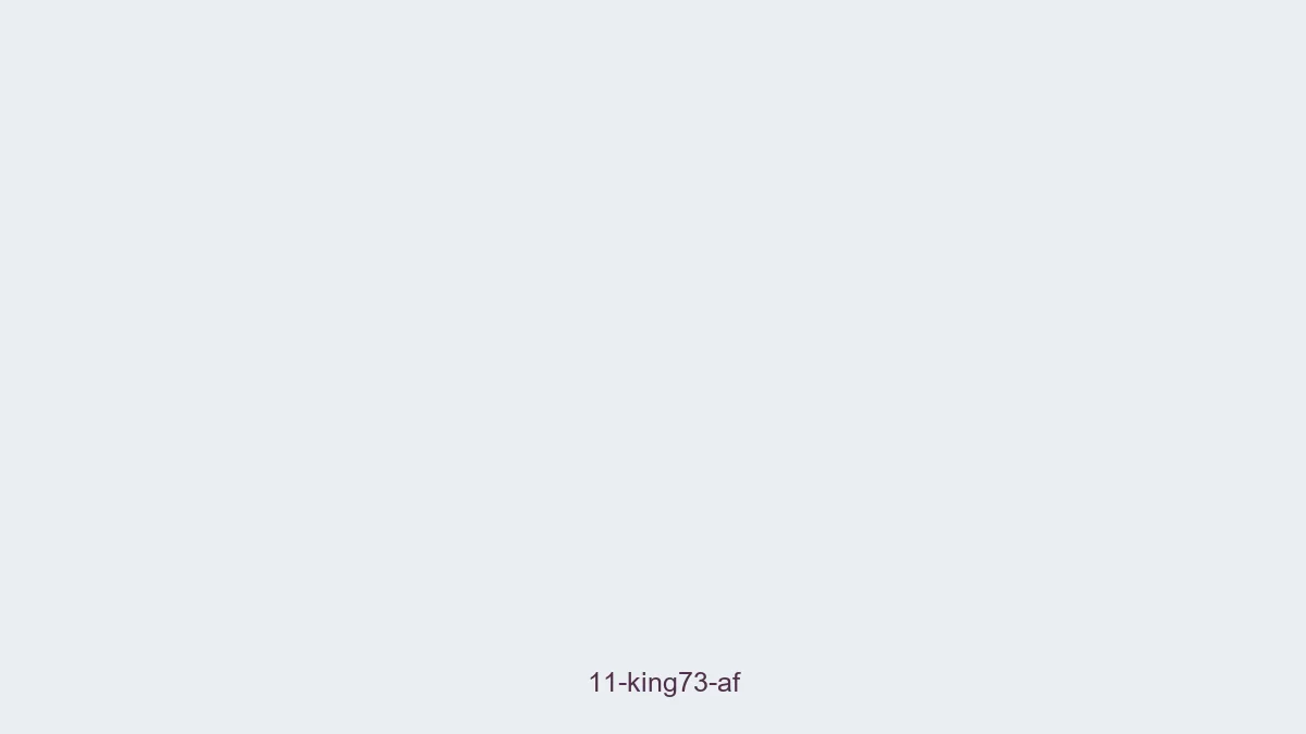 11 King73-Af