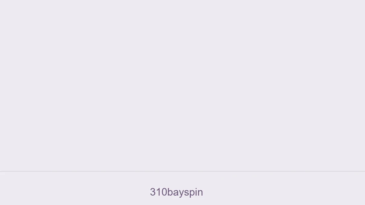 310bayspin