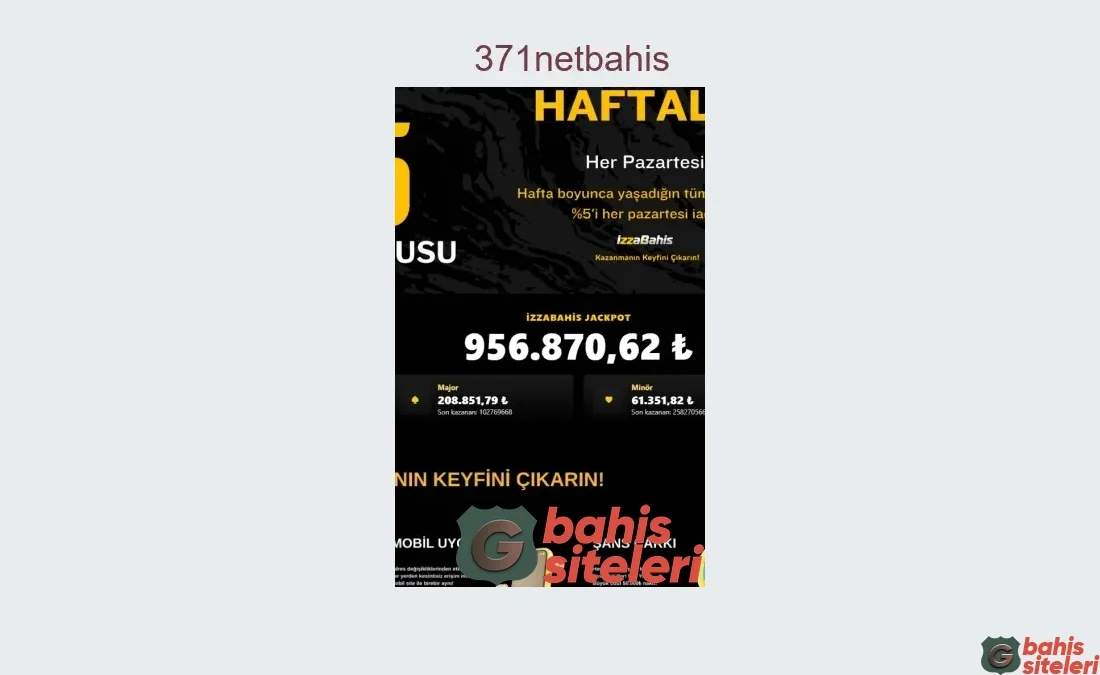 371Netbahis
