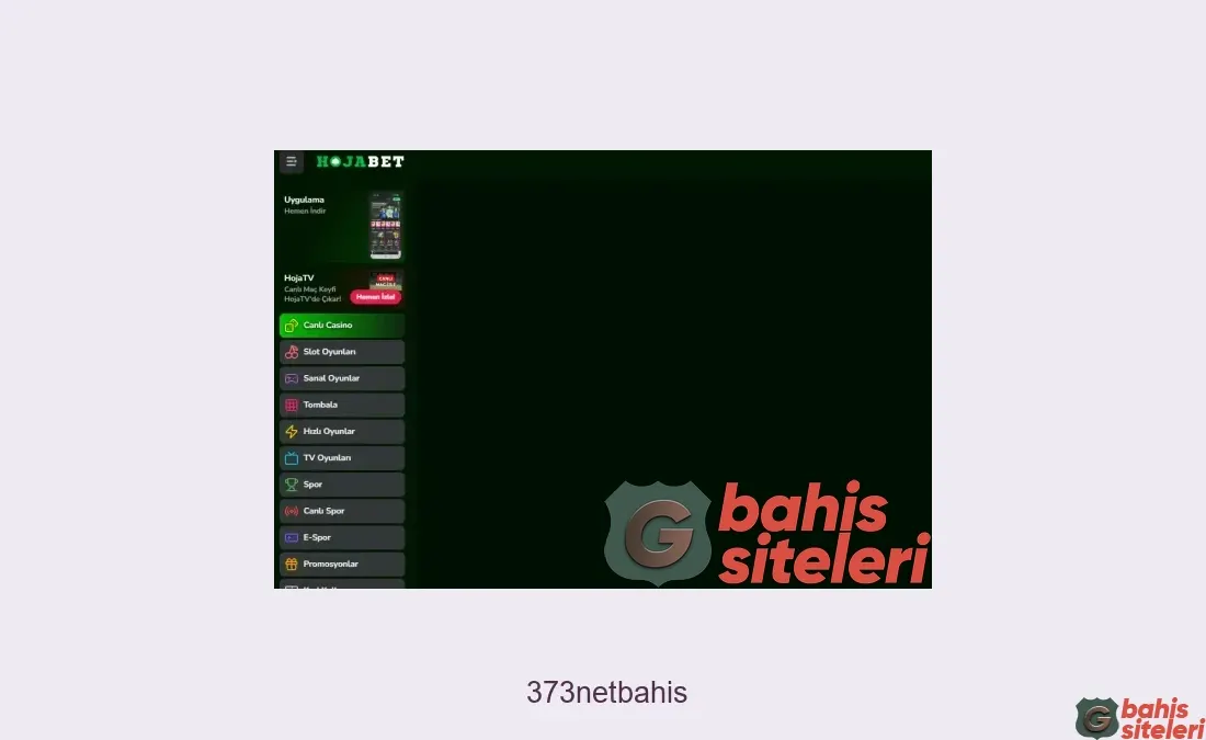 373Netbahis