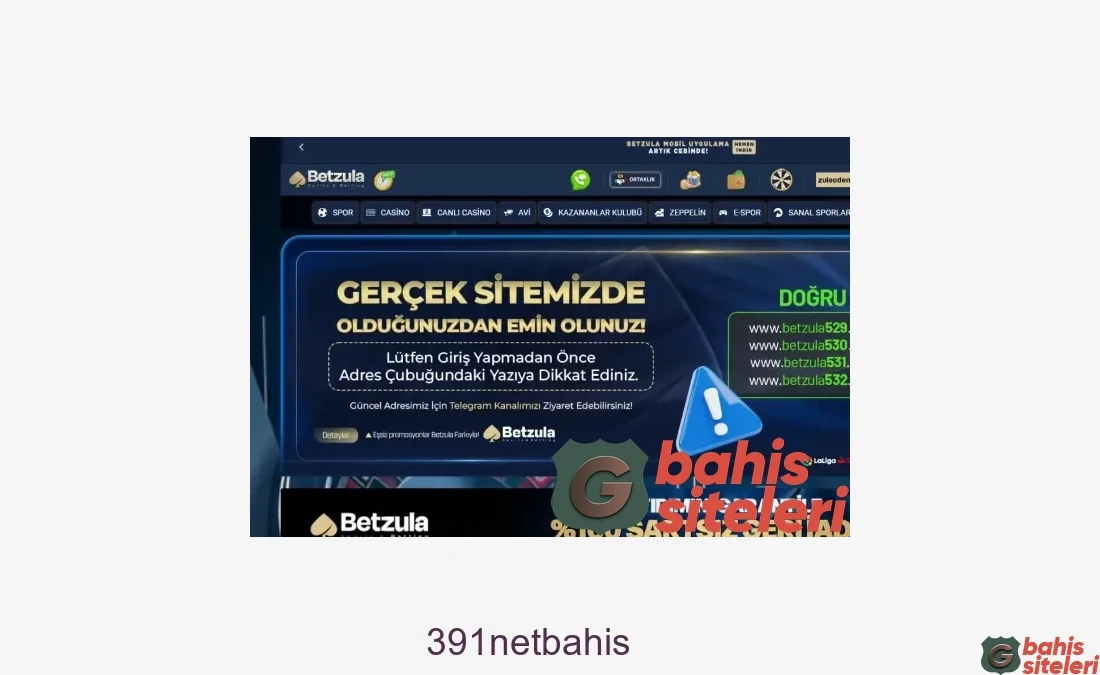 391Netbahis