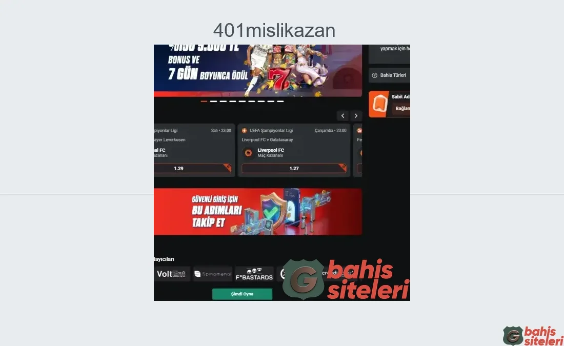 401Mislikazan