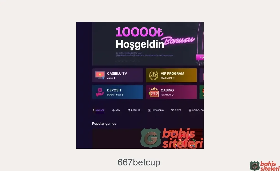 667Betcup
