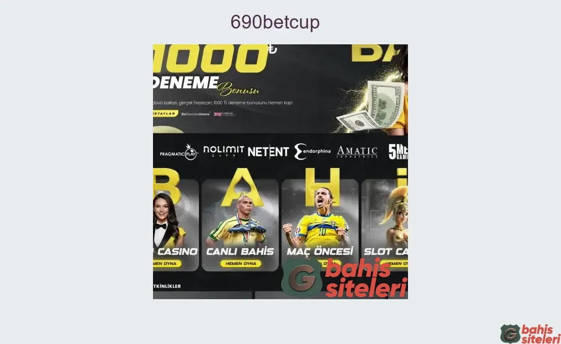 690Betcup