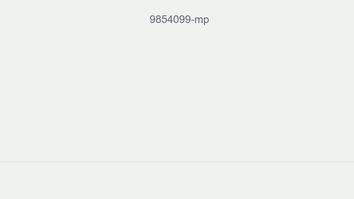 9854099 Mp