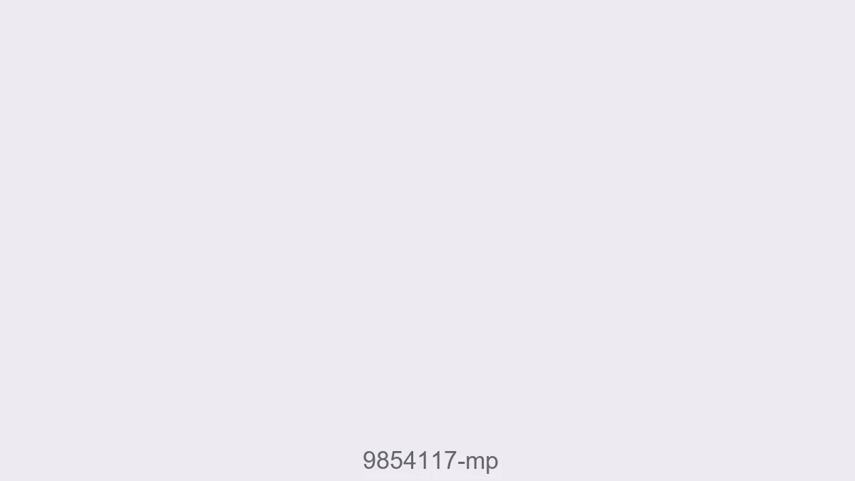 9854117 Mp