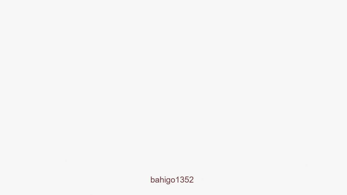 Bahigo1352
