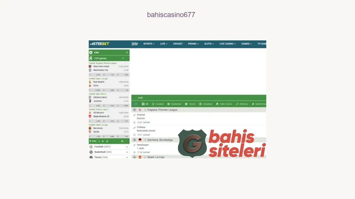 Bahiscasino677