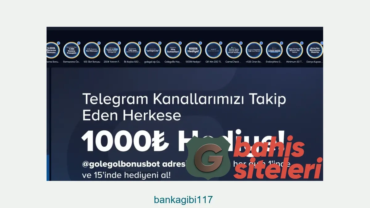 Bankagibi117