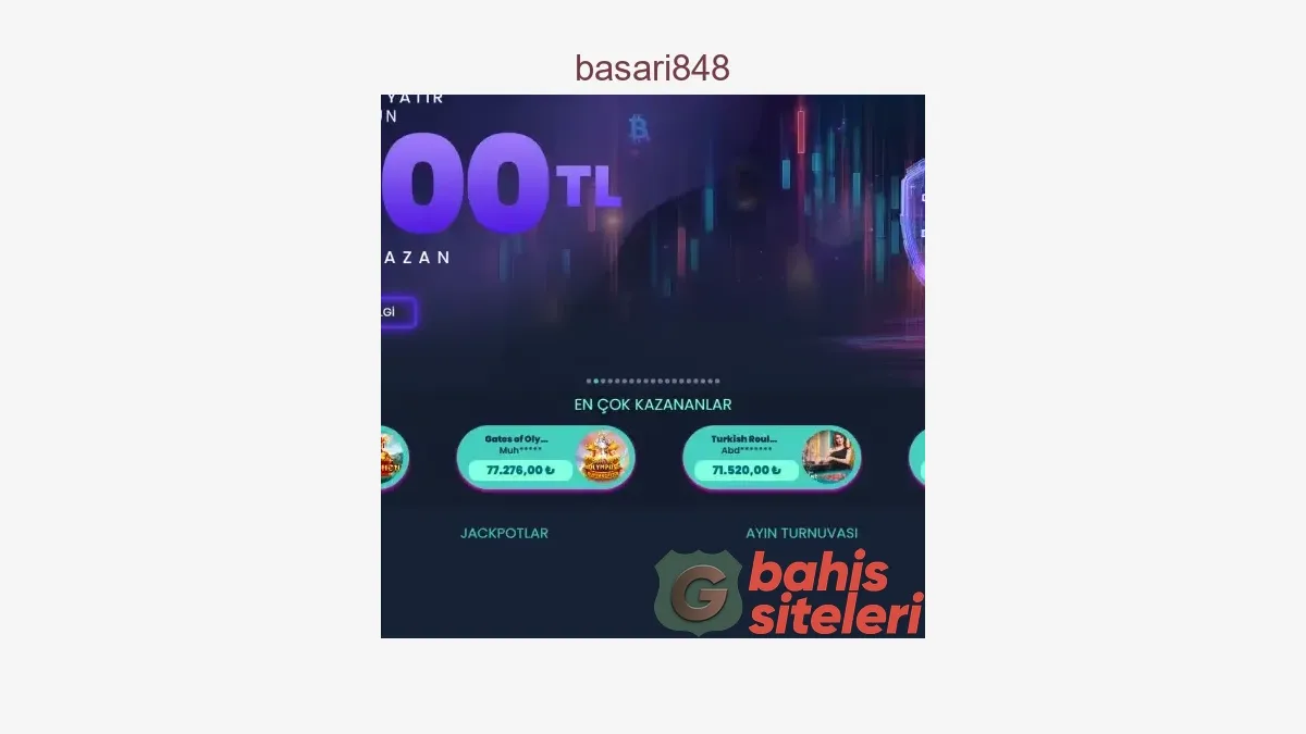 Basari848