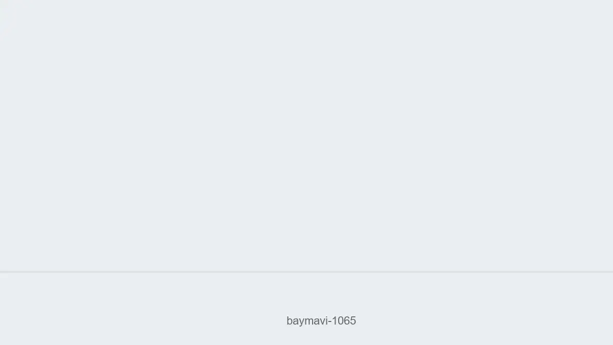 Baymavi 1065