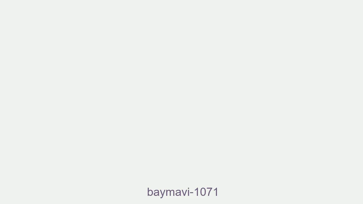 Baymavi 1071