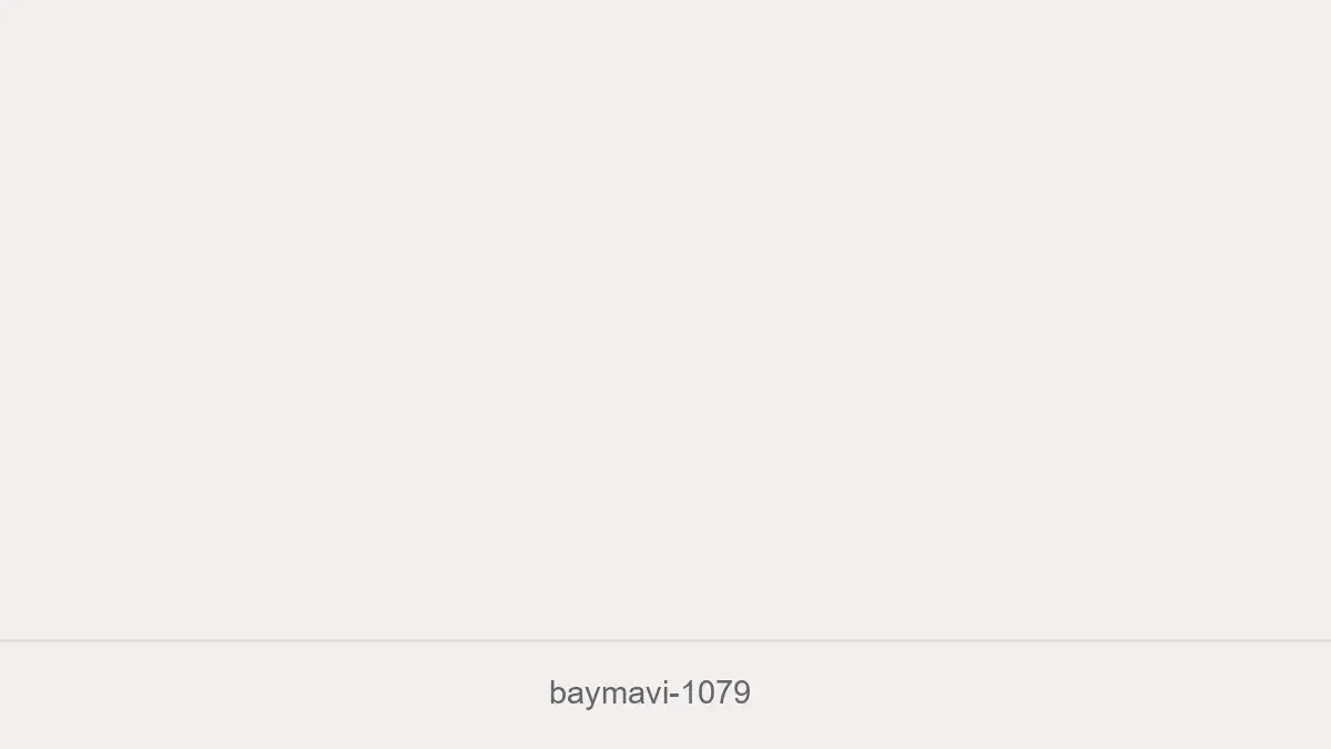 Baymavi 1079