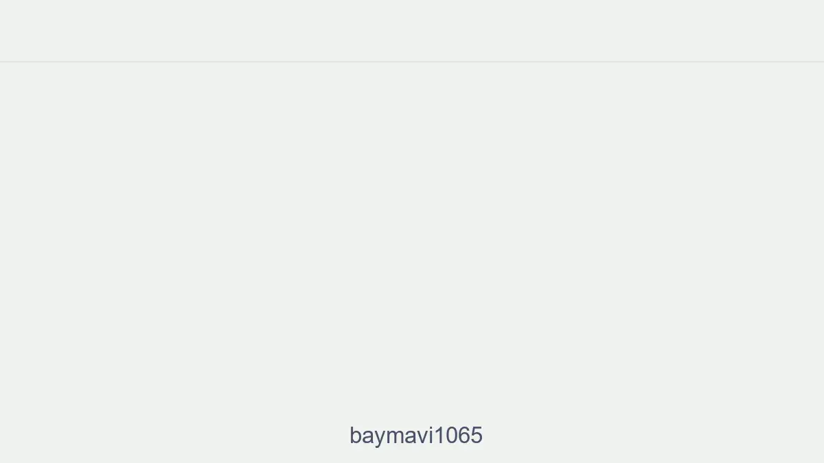 Baymavi1065