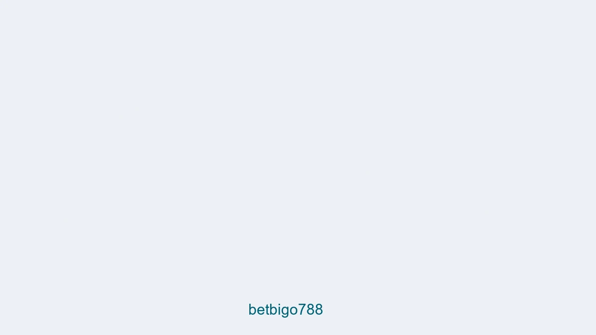 Betbigo788