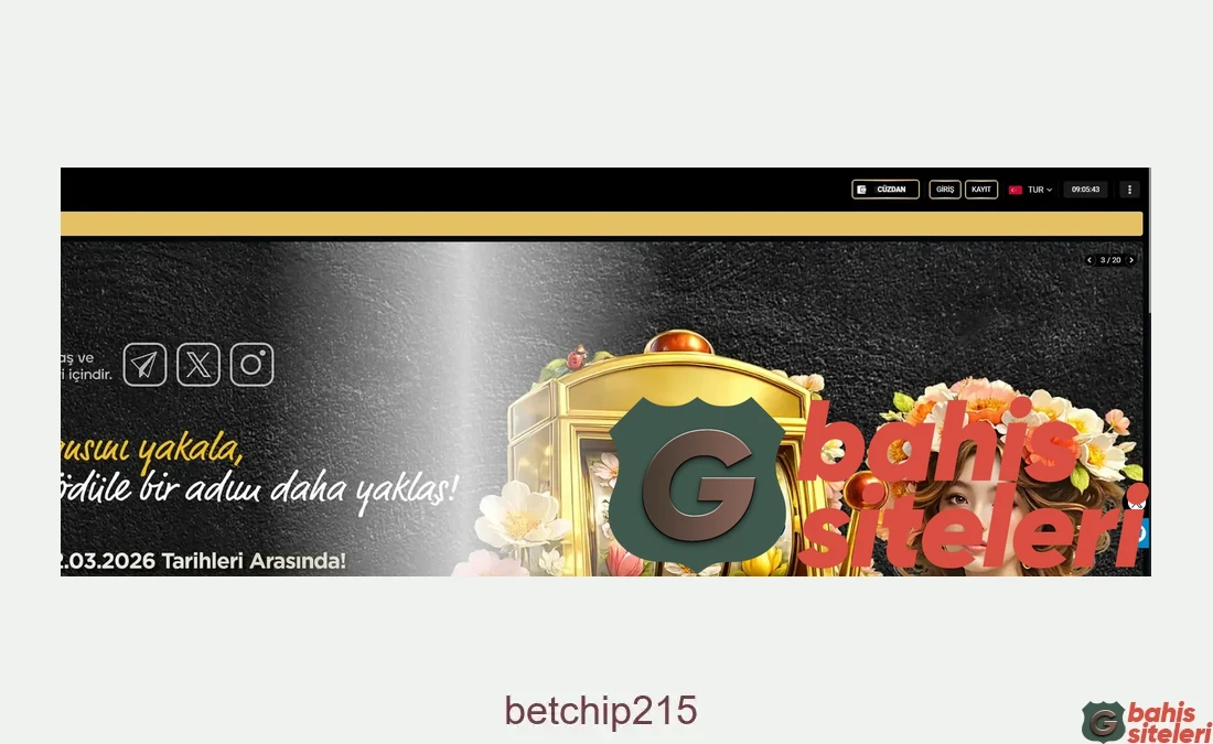 Betchip215