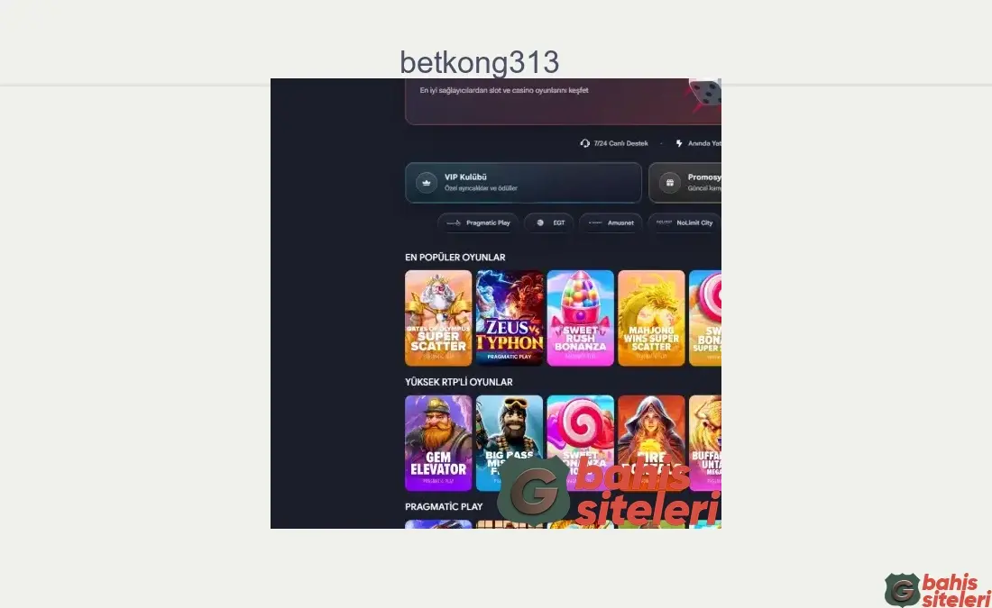 Betkong313