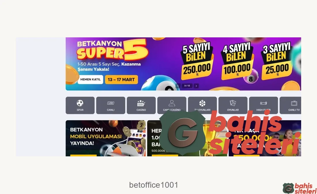 Betoffice1001