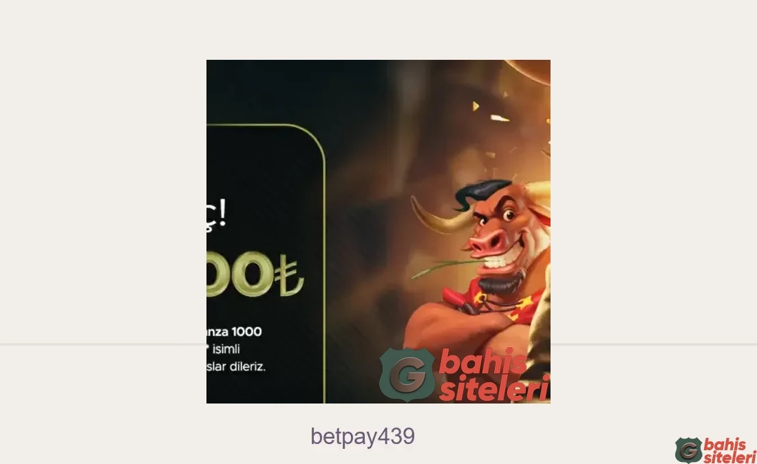 Betpay439