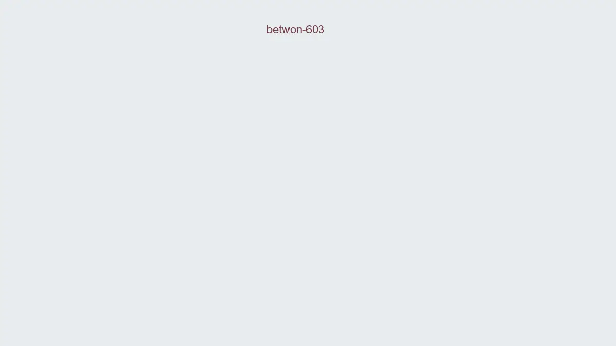 Betwon 603