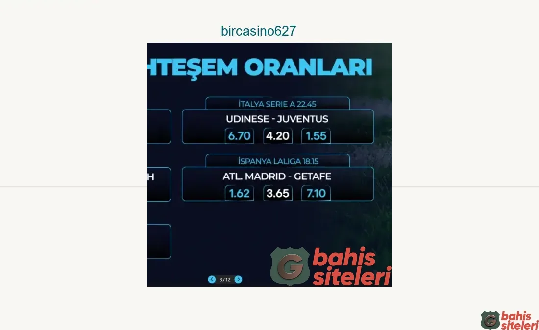 Bircasino627
