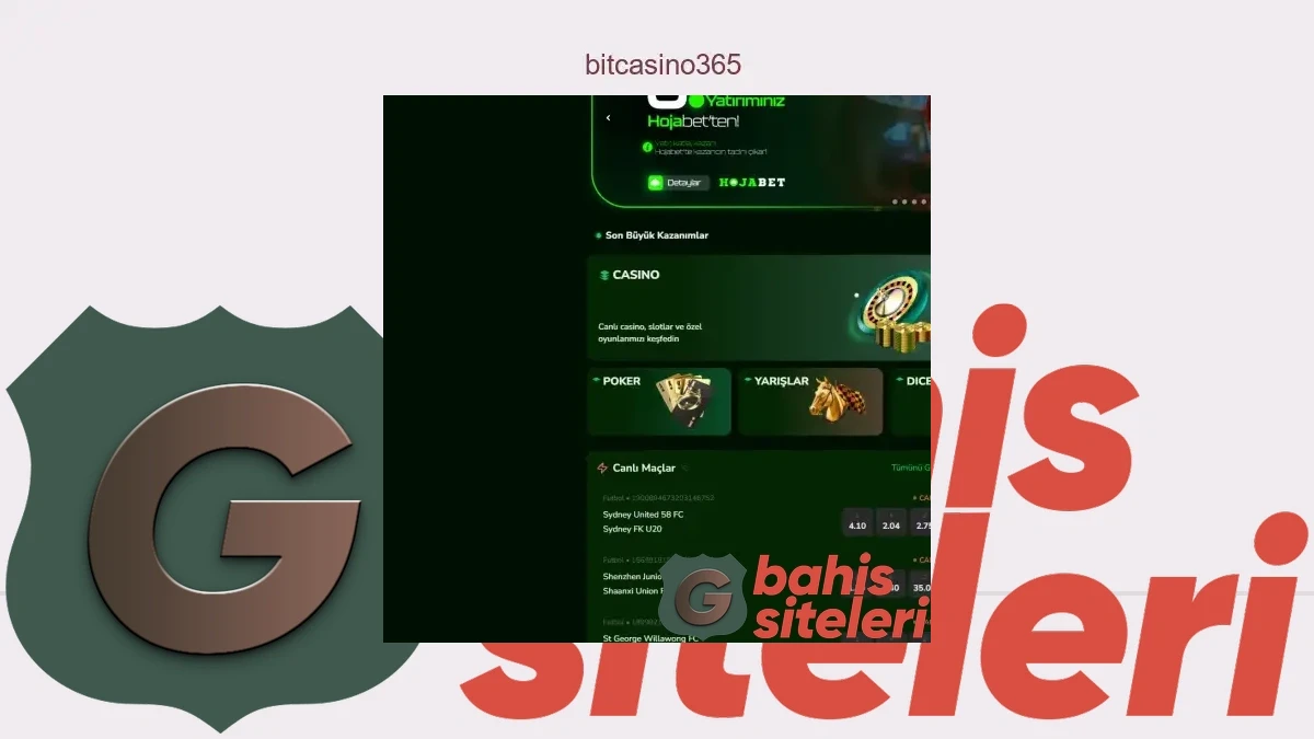Bitcasino365