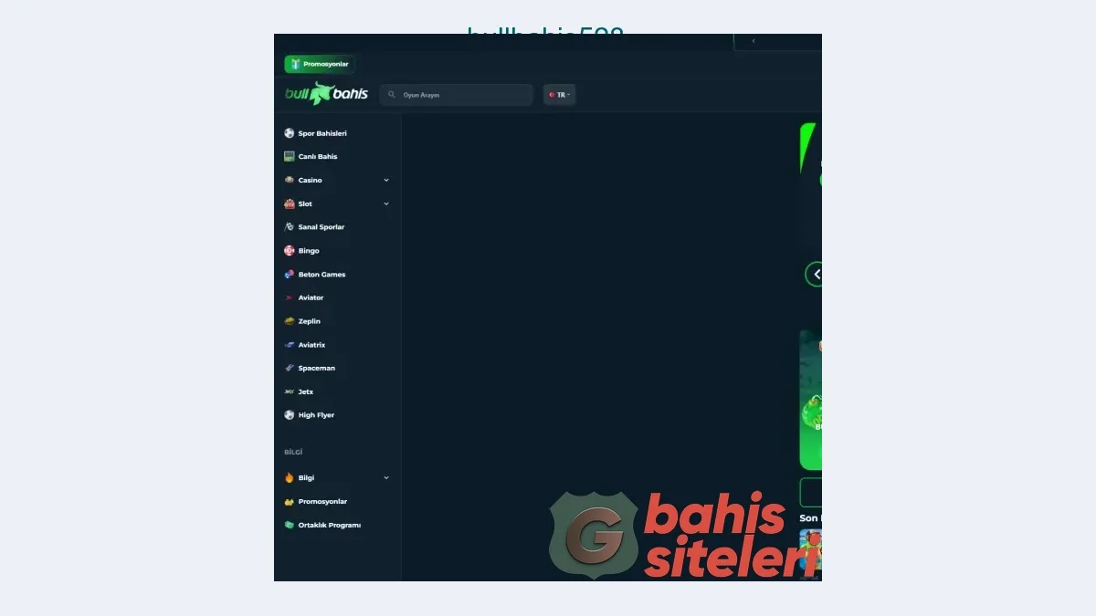 Bullbahis528