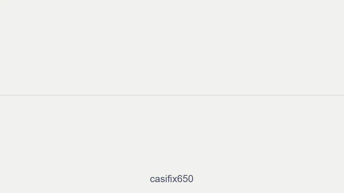 Casifix650