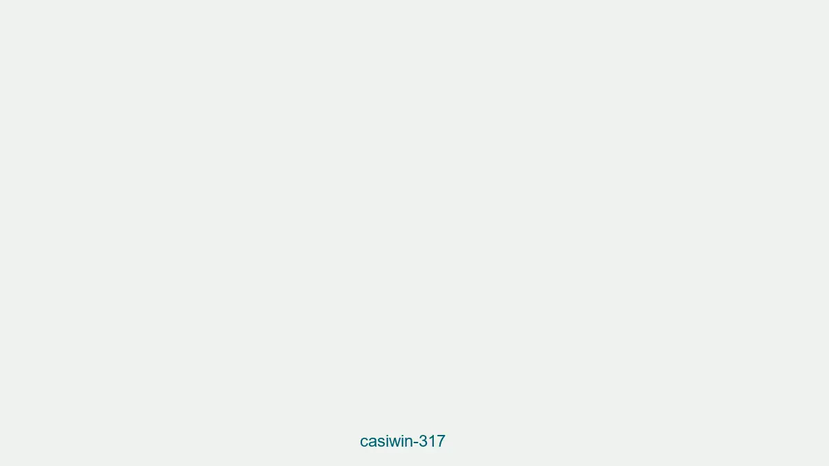 Casiwin 317