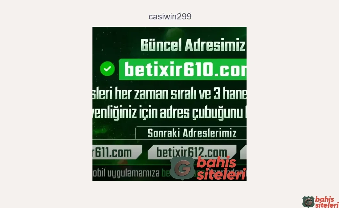 Casiwin299