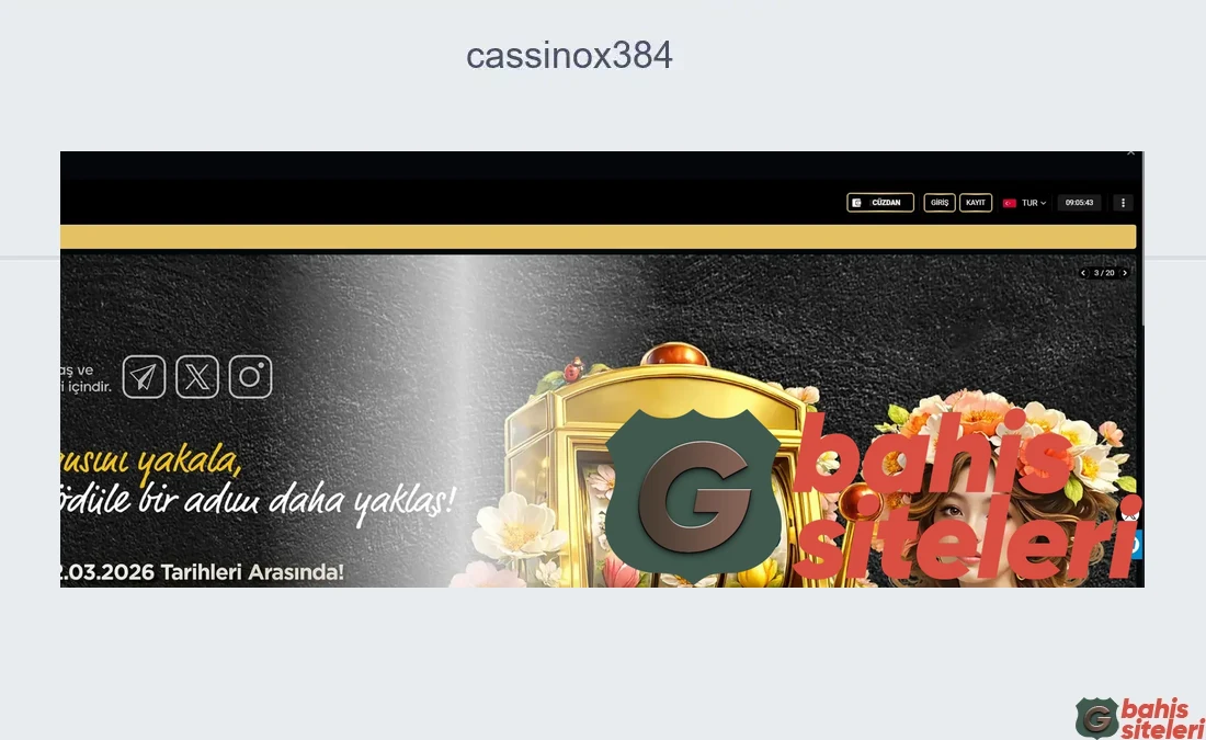 Cassinox384
