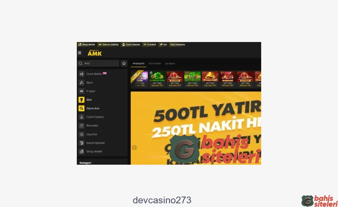 Devcasino273
