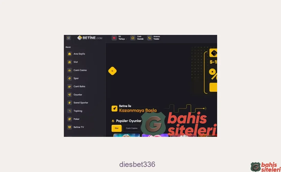 Diesbet336