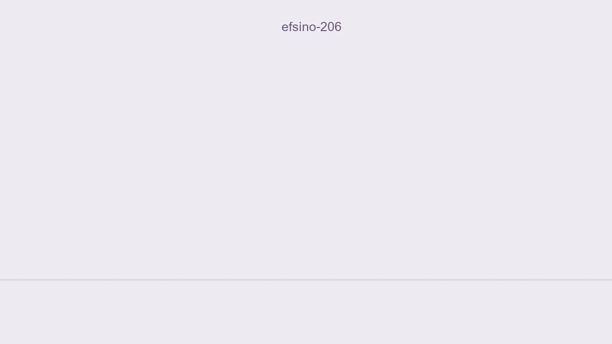 Efsino 206