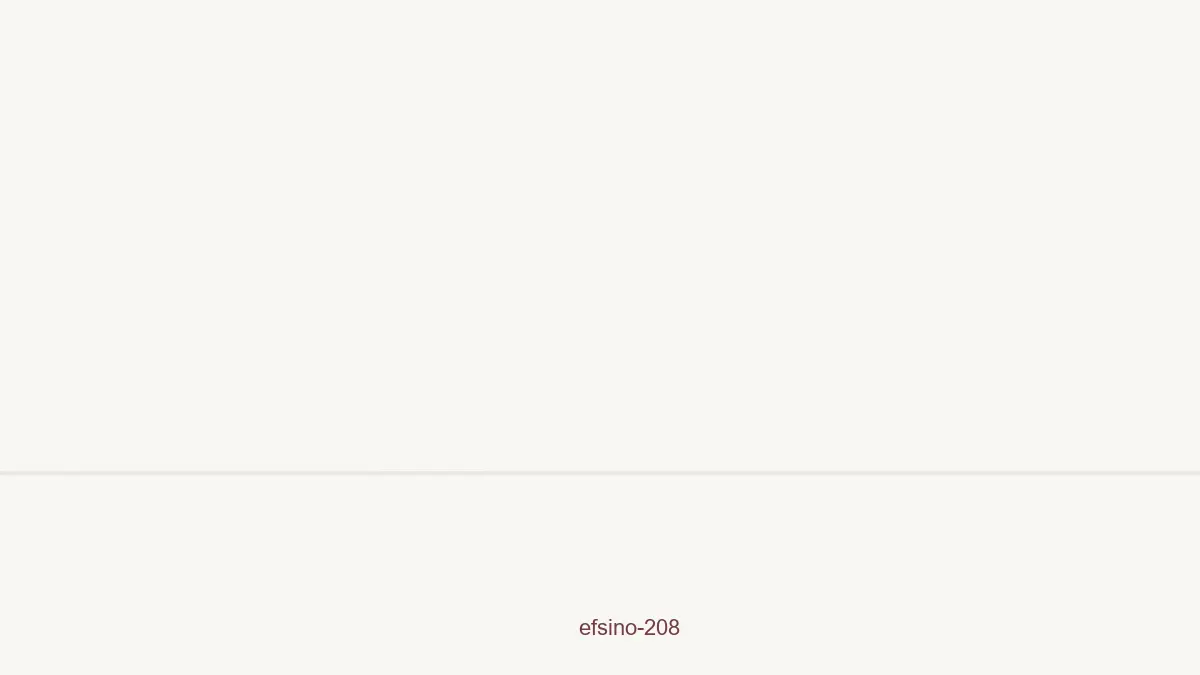 Efsino 208