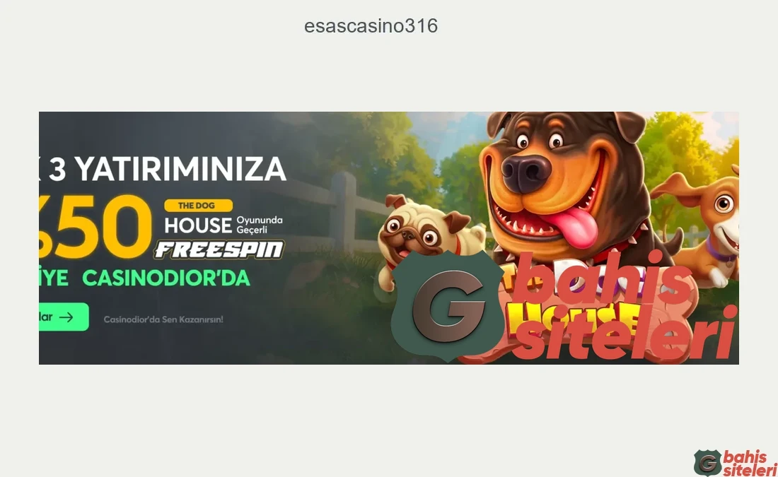 Esascasino316