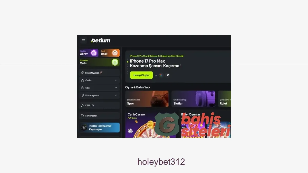Holeybet312