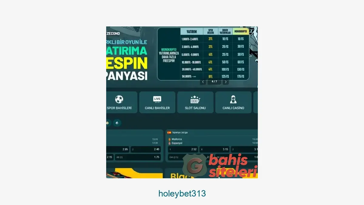 Holeybet313