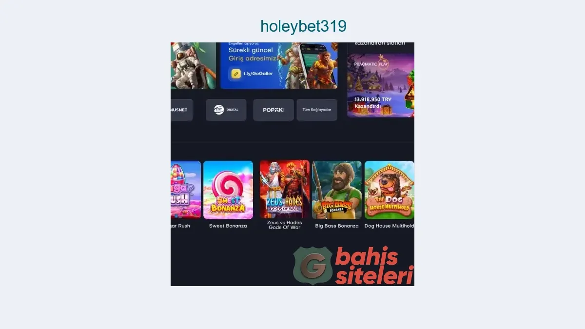 Holeybet319