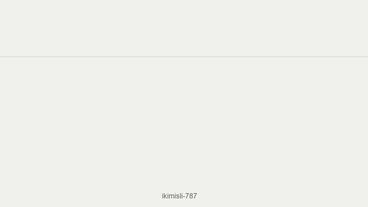 İkimisli 787