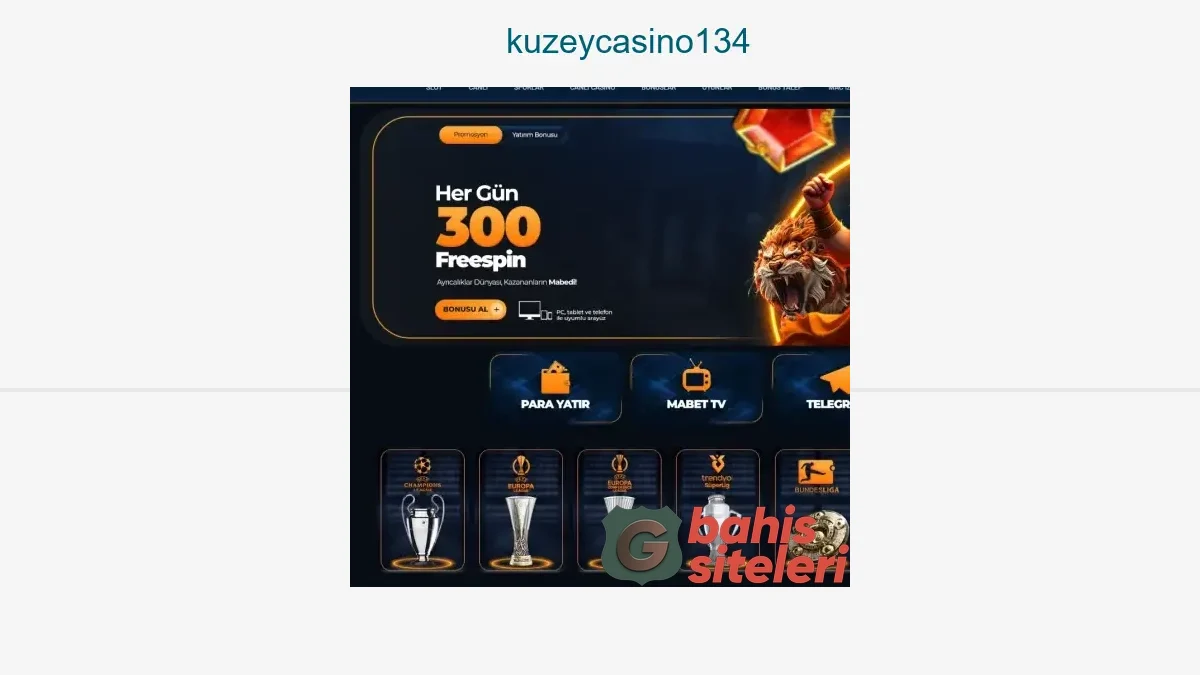 Kuzeycasino134