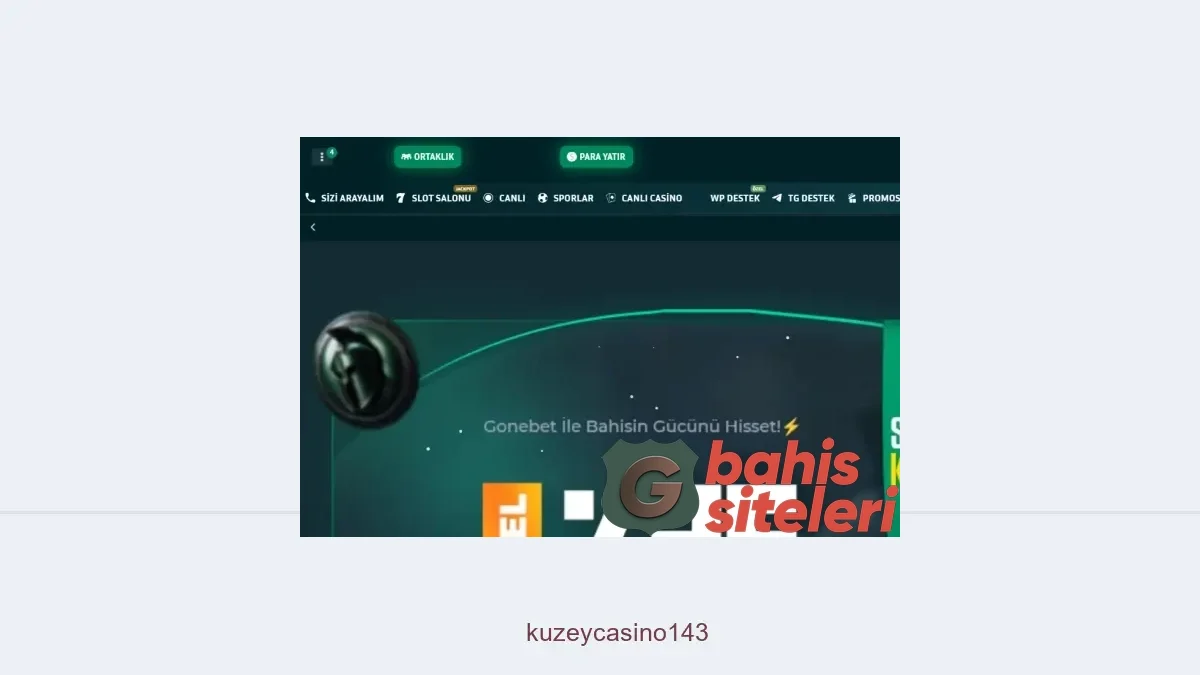 Kuzeycasino143