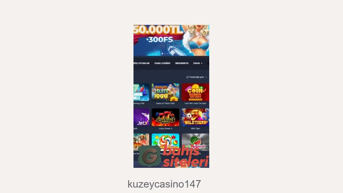 Kuzeycasino147