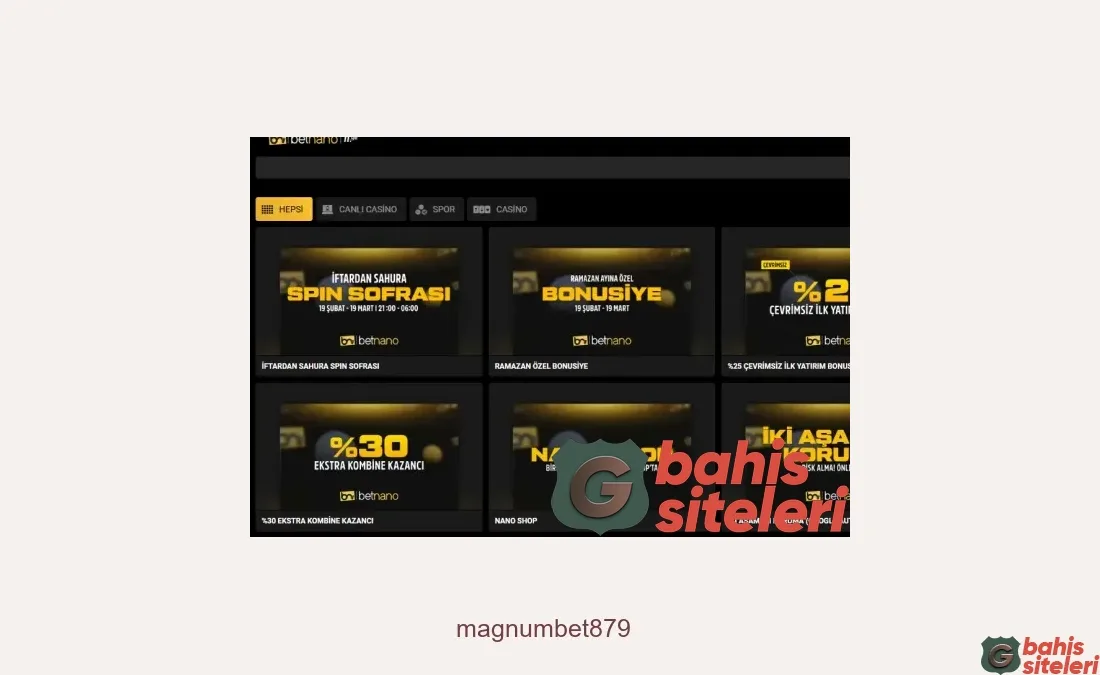 Magnumbet879