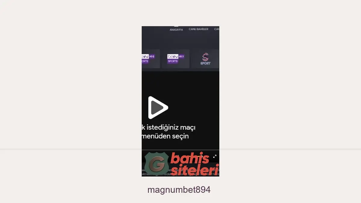 Magnumbet894