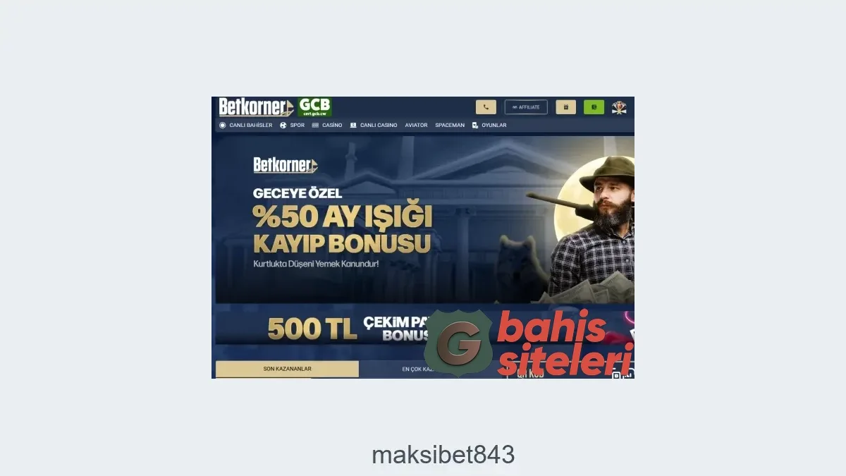 Maksibet843