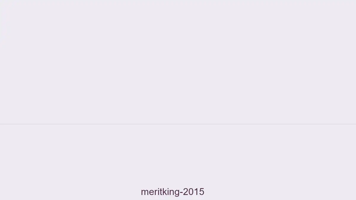 Meritking 2015