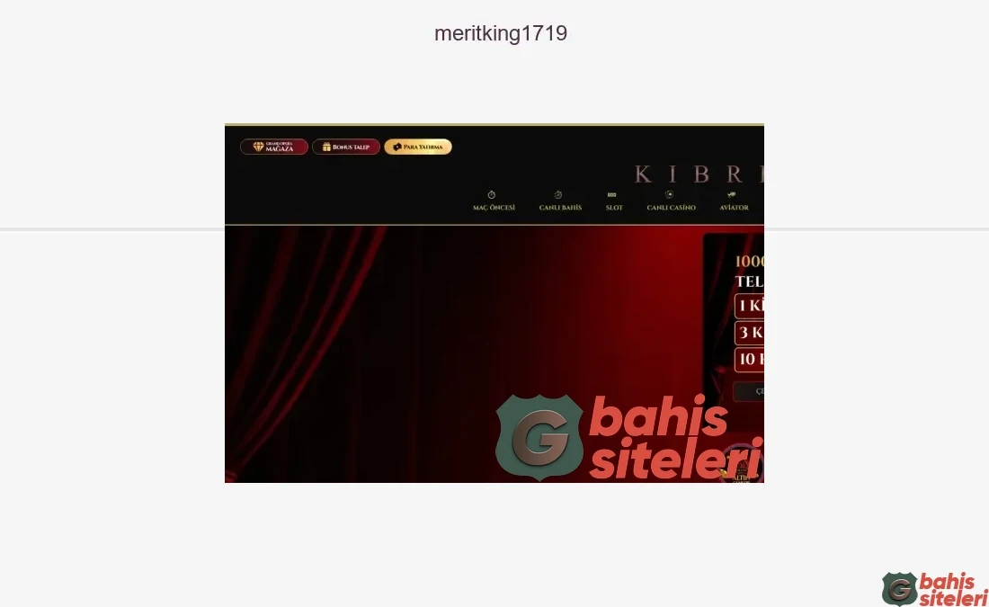 Meritking1719