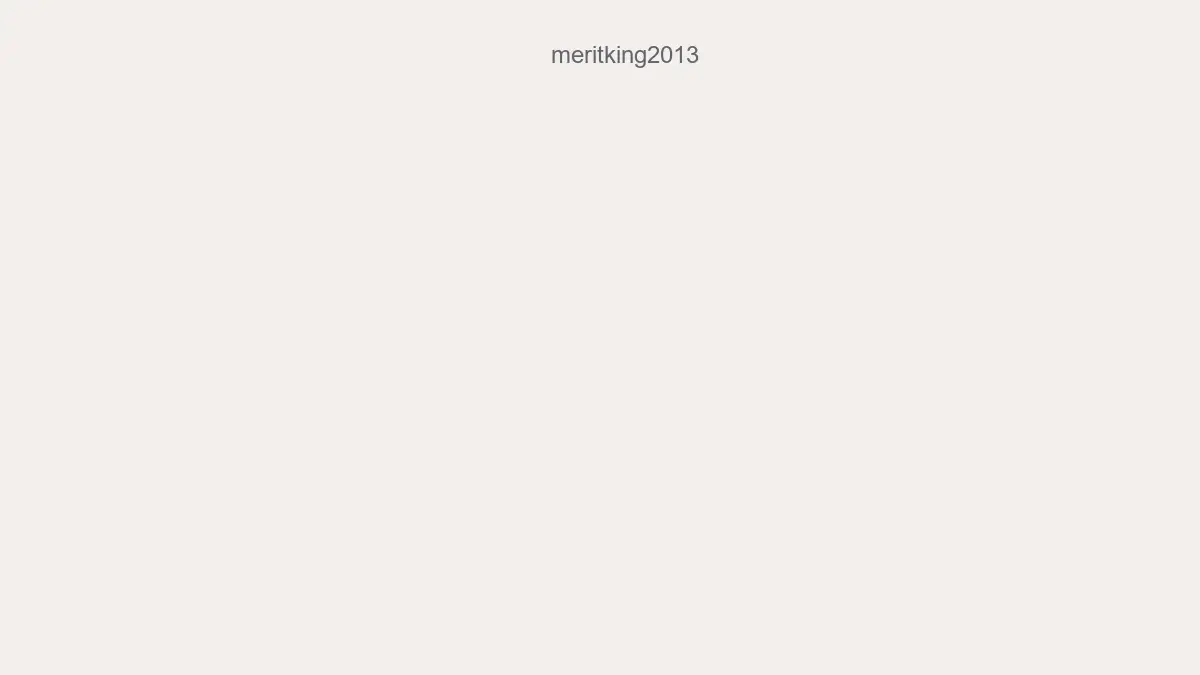 Meritking2013