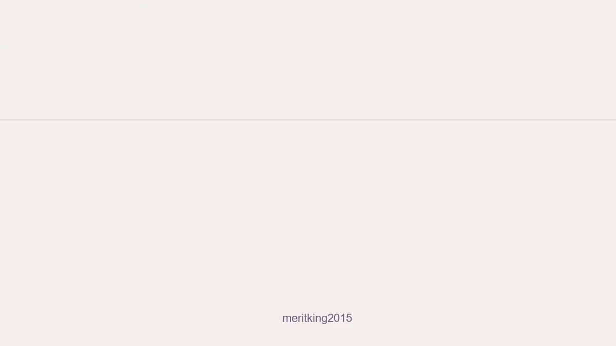 Meritking2015